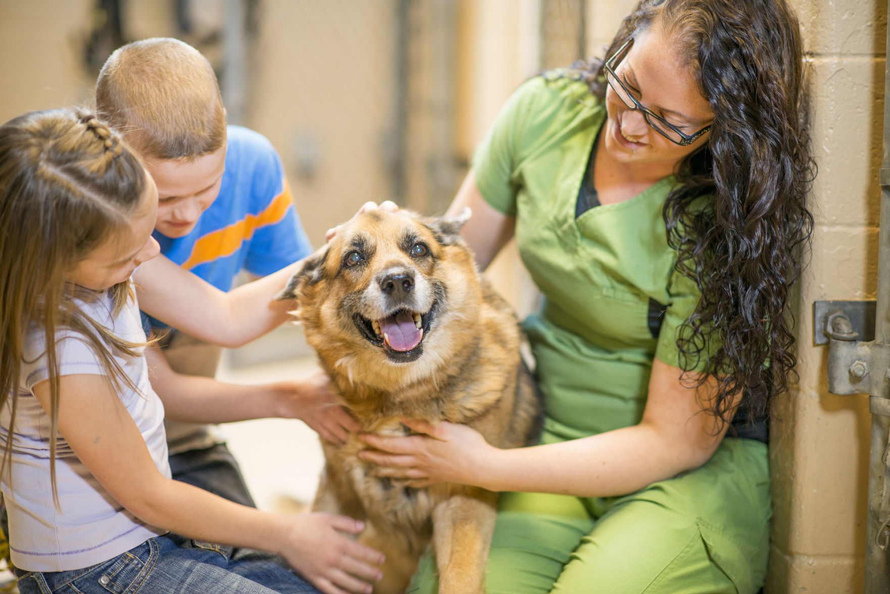 Help out at an animal shelter